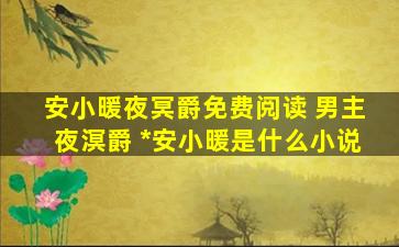 安小暖夜冥爵免费阅读 男主夜溟爵 女主安小暖是什么小说
